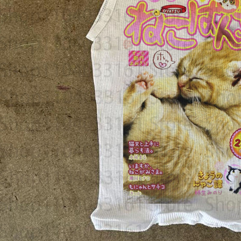 Kawaii Cat Japanese Magazine S - огляд і ціна Japanese Lifestyle Magazines